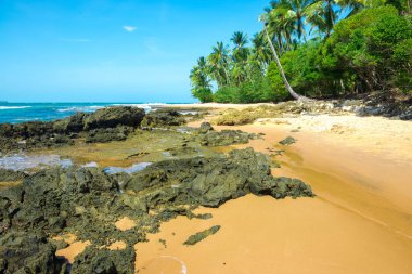 Ponta do Muta Brezilya bulunan şaşırtıcı barra grande beach