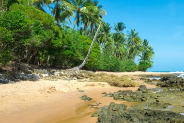 Arka plan olarak güzel güneşli izole Cennet plaj