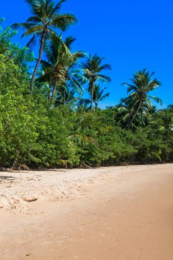Ponta do Muta Brezilya bulunan şaşırtıcı barra grande beach