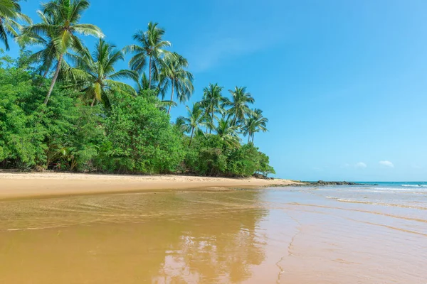 Praia Paradisíaca Isolada Dia Ensolarado Agradável Como Fundo — Fotografia de Stock