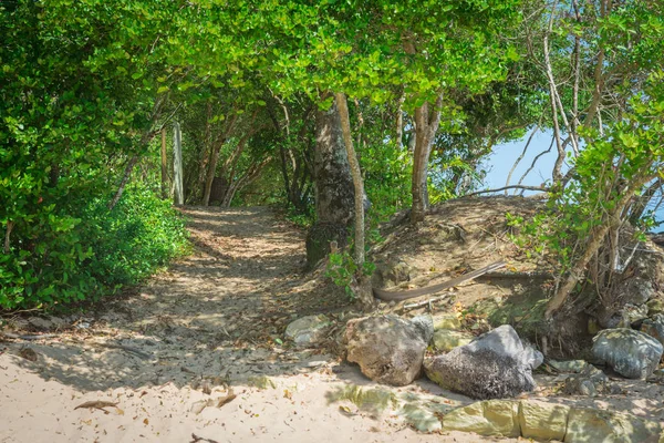 Διάβαση Πεζών Αμμώδης Παραλία Barra Grande Πόντα Κάνει Μούτα Βραζιλία — Φωτογραφία Αρχείου