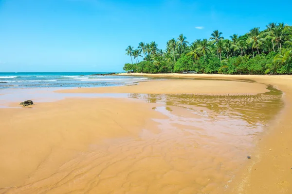 Ponta do Muta Brezilya bulunan şaşırtıcı barra grande beach