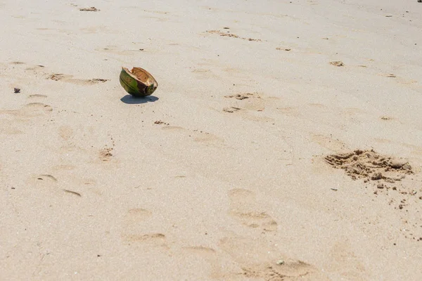 Cutted 말린된 코코넛 — 스톡 사진
