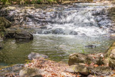 Doğa şelale ve akış Itacare Bahia Brezilya ile