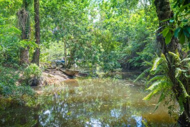 Doğa tarafından nehir kıyısında ahşap Kano kırık