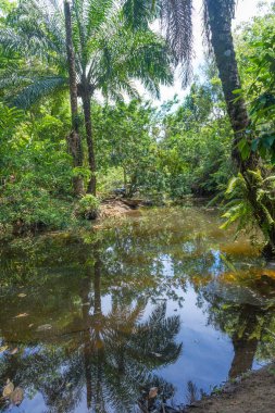 Doğa tarafından nehir kıyısında ahşap Kano kırık