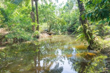 Doğa tarafından nehir kıyısında ahşap Kano kırık