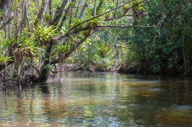 Su formları ve etkileri tüm sahil kumu