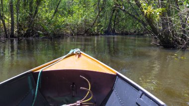 Küçük tekne mangroves yeşil su ağaçlar tünel altında yelken