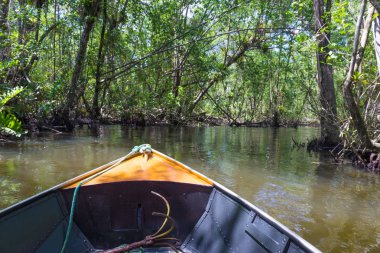 Küçük tekne mangroves yeşil su ağaçlar tünel altında yelken