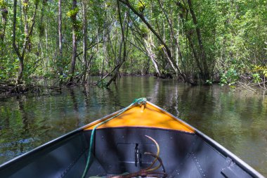 Küçük tekne mangroves yeşil su ağaçlar tünel altında yelken