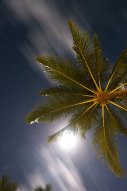 Plajda güzel manzaralar soyut ve doku formları