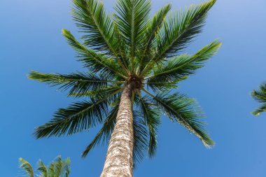 Plajda güzel manzaralar soyut ve doku formları