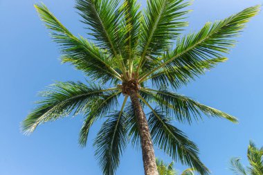 Plajda güzel manzaralar soyut ve doku formları