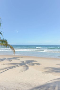 Zengin beach bitki örtüsü Itacare Brezilya Bahia eyalet, gölgeler
