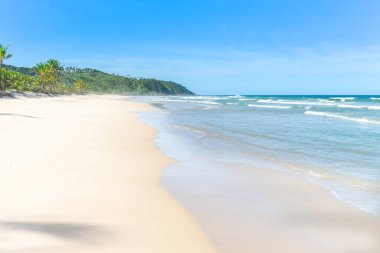 Palmiye ağacı birçoğunu içeren cennet beyaz kum plaj