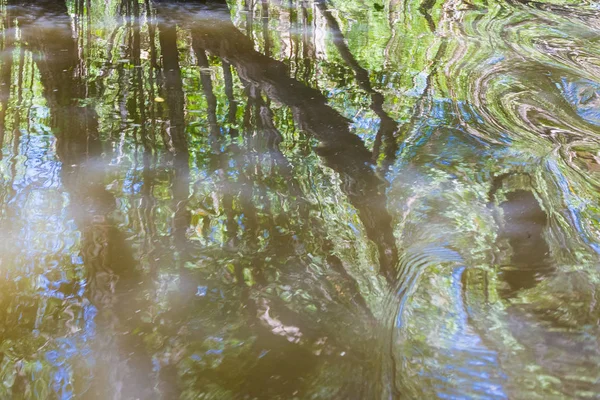 Natural Mangroves Water Wide Green Forest Reflection — Stock Photo, Image