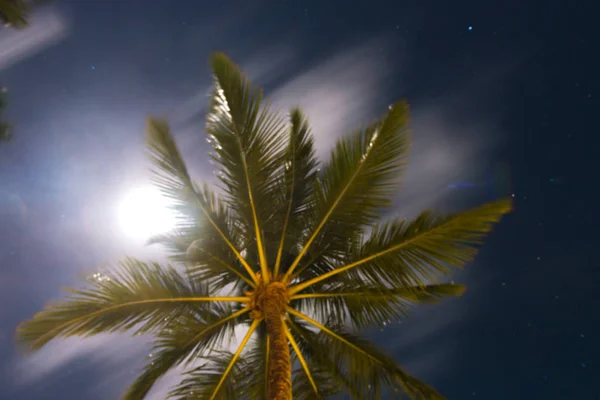 Schöne Landschaften Abstrakte Und Texturierte Formen Strand — Stockfoto