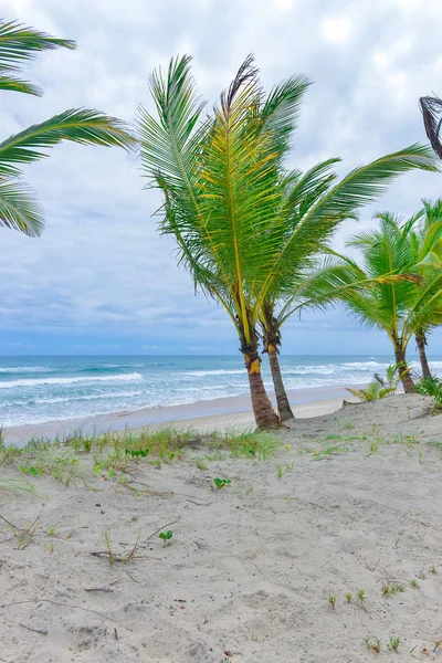 Пляж Рич Итакаре Штате Бахия Бразилии — стоковое фото