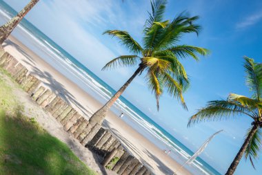 Itacare, Brezilya - 7 Aralık 2016: Zengin bitki örtüsü Itacare Brezilya Bahia eyalet, plaj