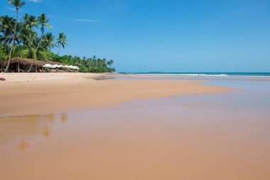 Itacare, Brezilya - 8 Aralık 2016: do zevk barra grande beach Ponta yer turist Muta Brezilya