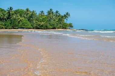 Itacare, Brezilya - 8 Aralık 2016: Şaşırtıcı barra grande Ponta do Muta Brezilya Plajı