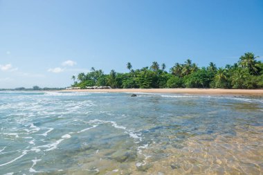 Itacare, Brezilya - 8 Aralık 2016: do zevk barra grande beach Ponta yer turist Muta Brezilya