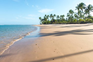 Taipu de Fora, Brazil - December 8, 2016: Beautiful day on impressive paradise beach on Marau peninsula clipart