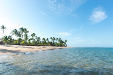 Taipu de Fora, Brazil - December 8, 2016: Beautiful day on impressive paradise beach on Marau peninsula clipart