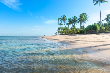 Taipu de Fora, Brazil - December 8, 2016: Amazing view of the beaches near Itacare at the Bahia state in Brazil clipart