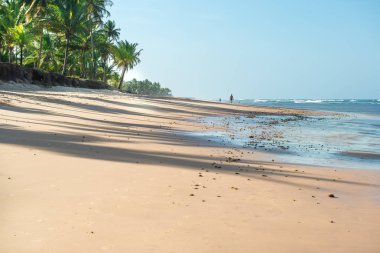 Taipu de Fora, Brezilya - 8 Aralık 2016: köpek ile güzel gün kumsalda yürüyen adam