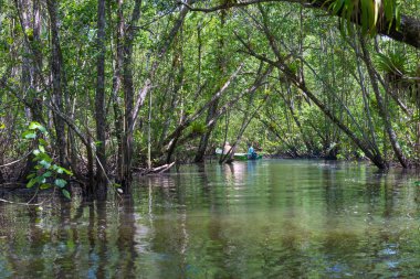 Itacare, Brazil - December 9, 2016: Boat ride getting out of a mangrove green water canal clipart