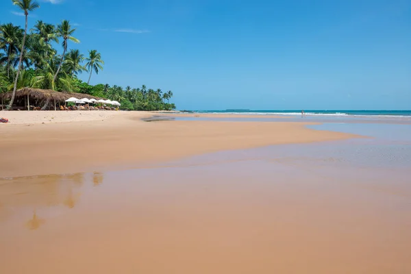 Itacare Brasil Dezembro 2016 Turistas Desfrutam Praia Barra Grande Localizada — Fotografia de Stock