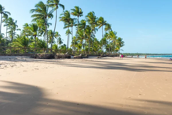 Taipu Fora Brazilië December 2016 Mooie Dag Indrukwekkende Paradijs Strand — Stockfoto