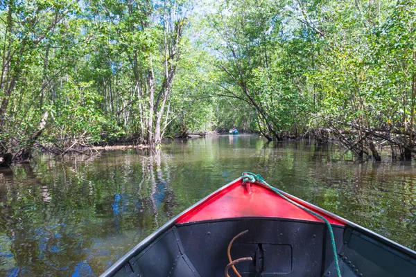 Itacare Brasilien Dezember 2016 Kanu Überquert Einen Mangrovenkanal Unter Einem — Stockfoto