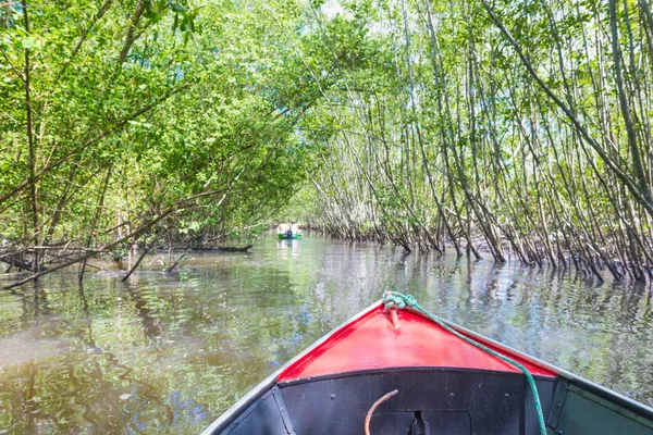 Itacare Brasilien Dezember 2016 Kanu Überquert Einen Mangrovenkanal Unter Einem — Stockfoto