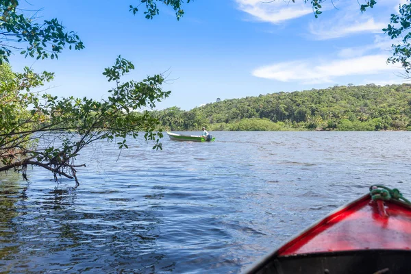 Itacare Brasilien Dezember 2016 Bootsfahrt Aus Einem Mangrovengrünen Wasserkanal — Stockfoto