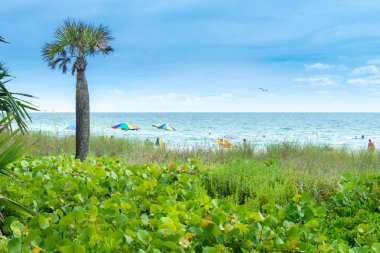 Naples, Amerika Birleşik Devletleri - 13 Haziran 2018: View of Naples beach Florida Meksika Körfezi üzerinde