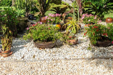 Saint Petersburg, Amerika Birleşik Devletleri - 16 Haziran 2018: Salvador Dali Müzesi St Petersburg'nde bahçeleri