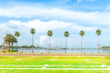 St Pete Marina birçok yelkenli ile bağlantılı