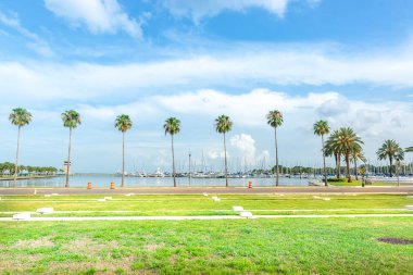 St Pete Marina birçok yelkenli ile bağlantılı