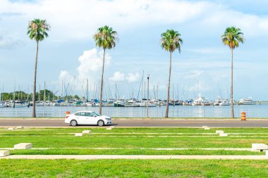 St Pete Marina birçok yelkenli ile bağlantılı