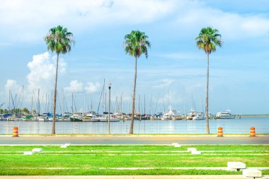 St Pete Marina birçok yelkenli ile bağlantılı