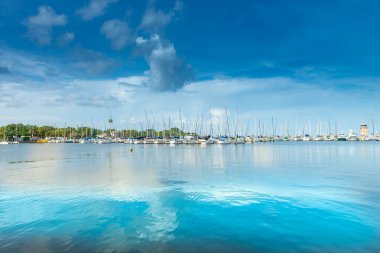 Yelkenli bir sürü güzel Marina 