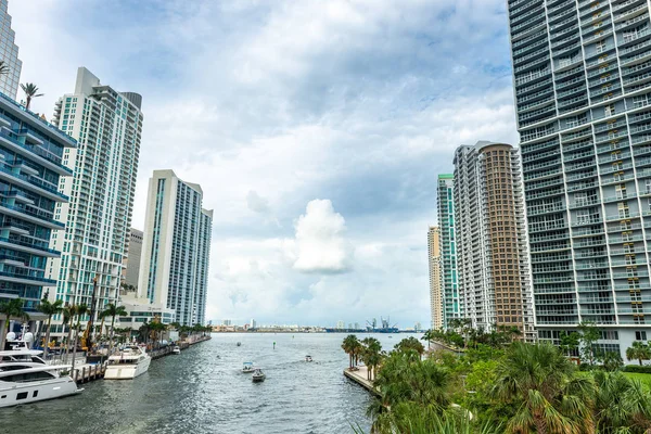 Vista do centro de Miami com muitos edifícios — Fotografia de Stock