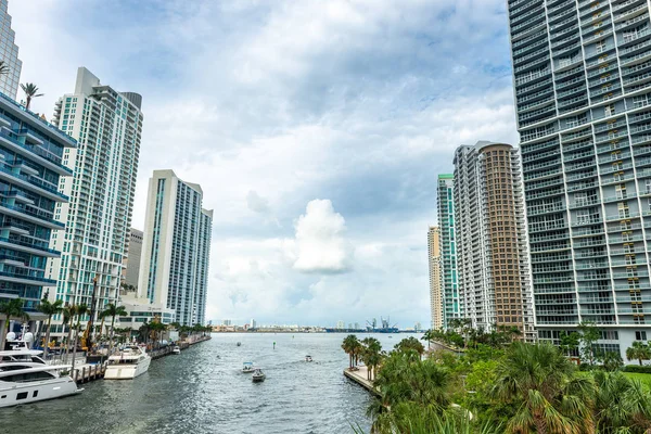 Vue du centre-ville de Miami avec de nombreux bâtiments — Photo