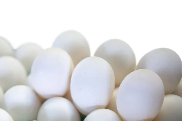 Several white eggs on white isolated background — Stock Photo, Image