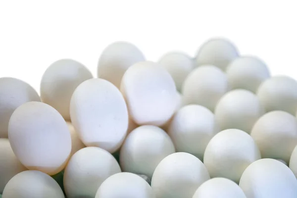 Several white eggs on white isolated background — Stock Photo, Image