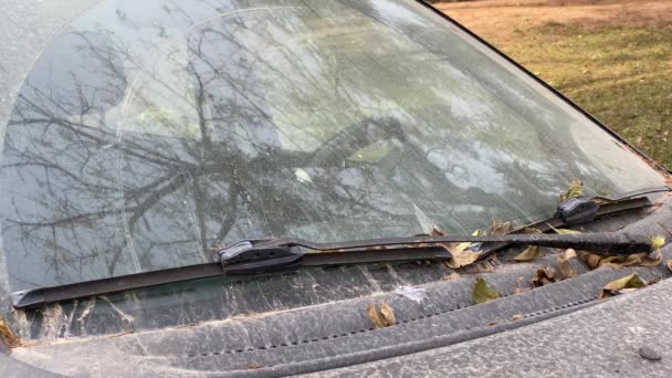 Dusty Viejo Coche Abandonado Con Montón Hojas Secas Parabrisas — Vídeo de stock