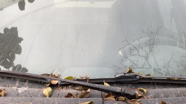 フロントガラスに乾いた葉の多いほこりっぽい古い放棄された車 — ストック動画